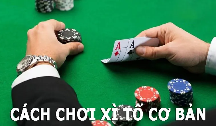 Xì Tố Tại P3 Thách Thức Đỉnh Cao Trí Tuệ Và Chiến Thuật