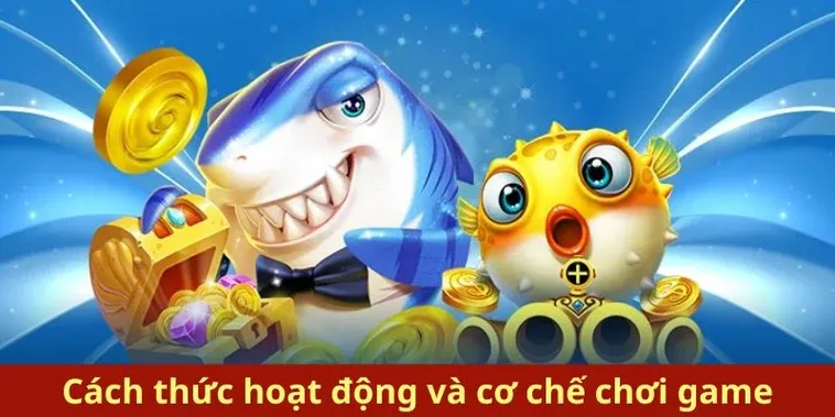 Bí Quyết Chinh Phục Bắn Cá Royal Fishing Tại P3 Đỉnh Cao Giải Trí