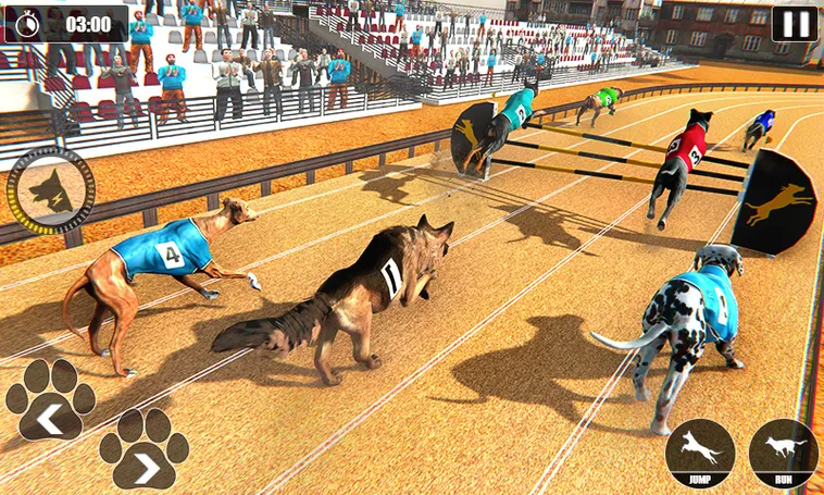 Hướng Dẫn Chinh Phục Game Nhanh Đua Chó Tại P3 Thắng Lớn Tuyệt Đối